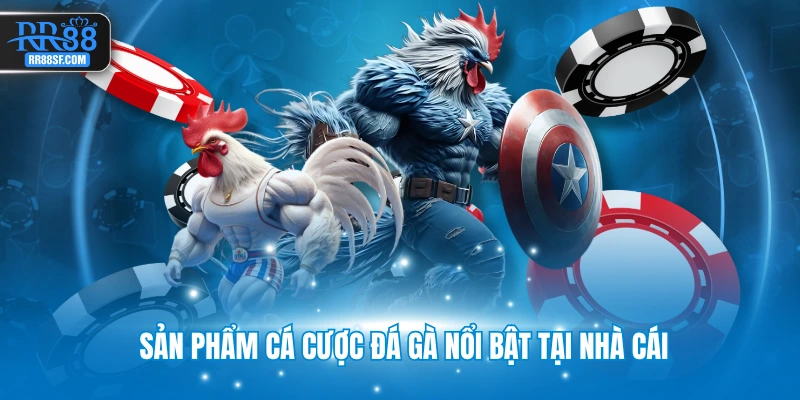 Sản phẩm cá cược đá gà nổi bật tại nhà cái